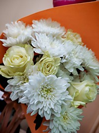 3 Хризантемы 4 Розы