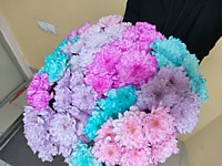 15 хризантем